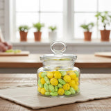 Limon 700ML Airtight Glass Jar With Lid