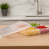 Limon Big 4 Section Freezer Airtight Plastic Box With Lid
