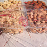 Dry Fruit Tray Premium Serving Dish 4 Compartment with Box