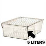 Limon Stackable Clear Storage Organizer With Lid