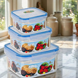 3 PCS Airtight Food Container Box – Kitchen Storage Set