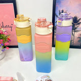 Motivational Sports Water Bottle 900ml
