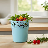 Mini Storage Basket for Kitchen Bathroom & Home