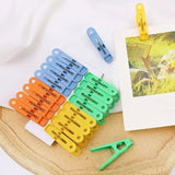 24 Pcs Plastic Clips with Rope for Hanging Use