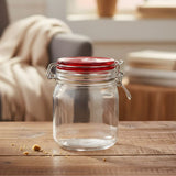 Ziba Airtight 800 ML Glass Lock Jar Small