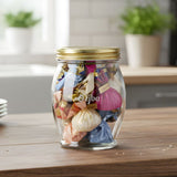 Ziba Airtight 720 ML XL Glass Jar