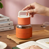Borosilicate Glass Water Bottle Silicone Sleeve & Handle Lid