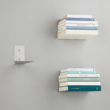 Hidden Book Shelf